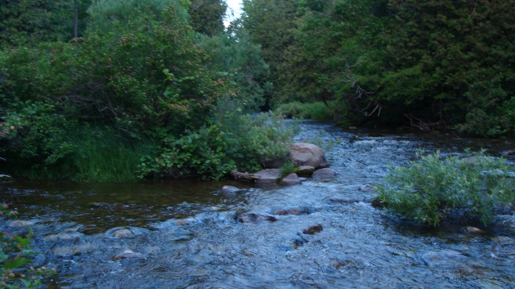 Beatty Saugeen River; West Grey County, Ontario